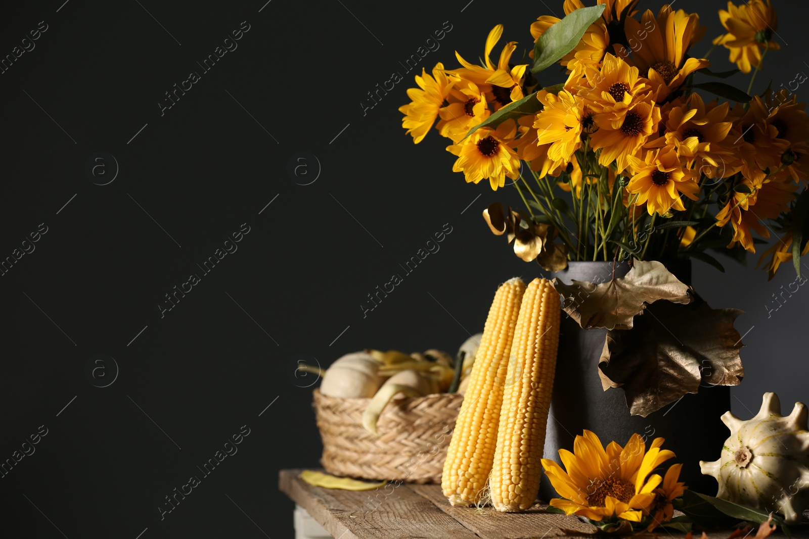 Photo of Beautiful autumn bouquet, corn cobs and small pumpkins on wooden table against dark grey background. Space for text