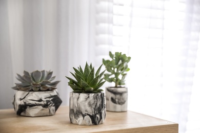 Photo of Beautiful succulents on wooden table indoors. Interior decoration