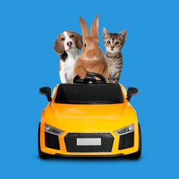 Image of Cute rabbit, Beagle puppy and tabby kitten in toy car on blue background