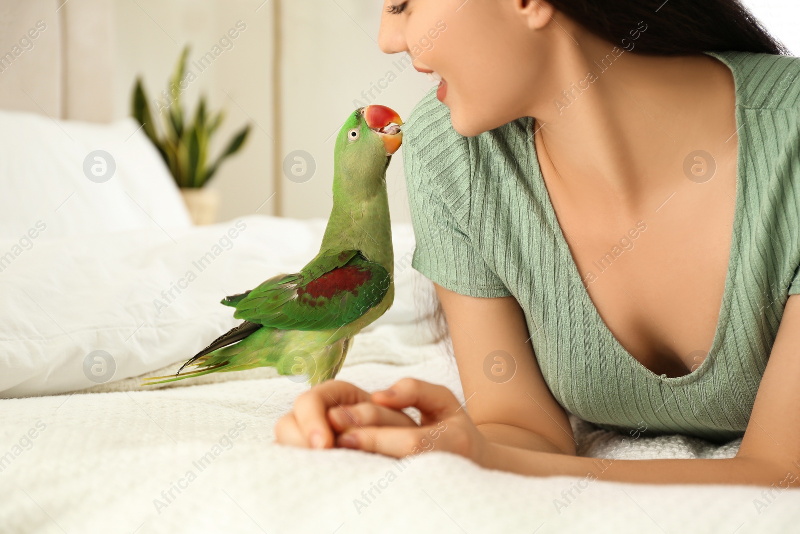 Photo of Young woman with Alexandrine parakeet indoors, closeup. Cute pet