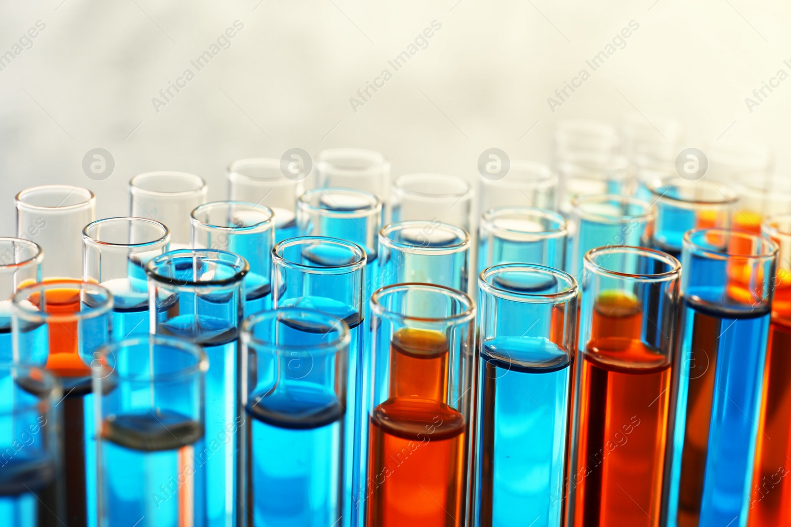 Photo of Many test tubes with different liquid samples on color background, closeup