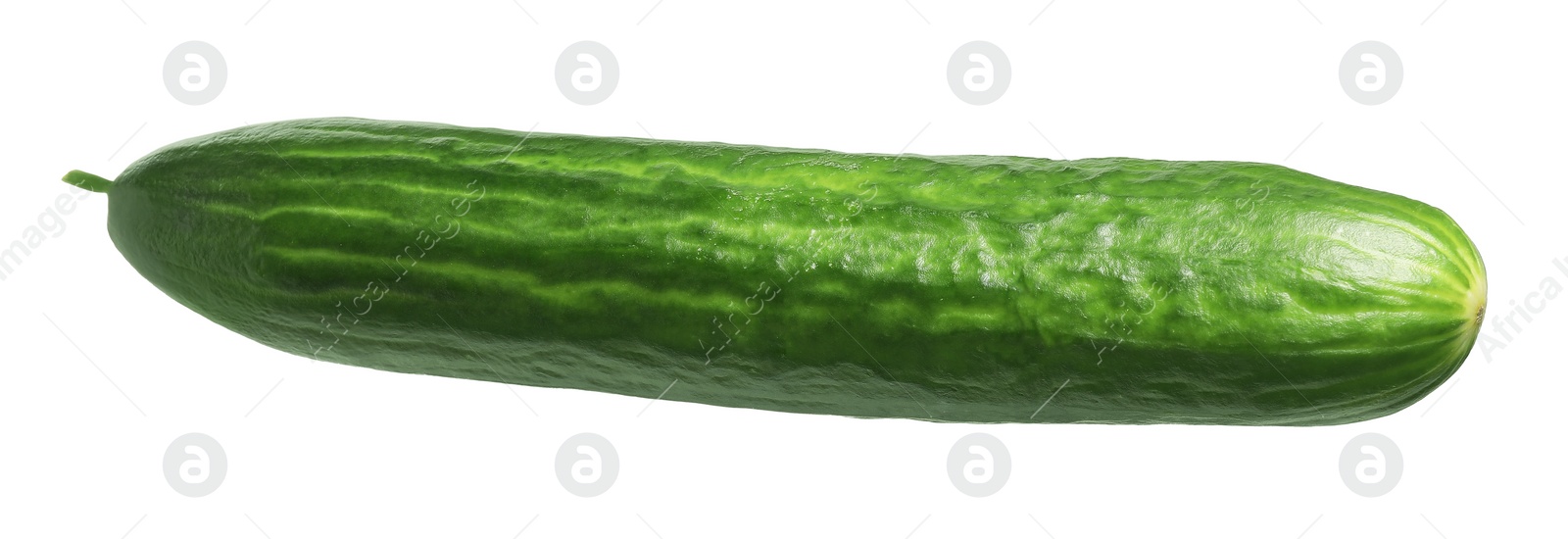 Photo of One long fresh cucumber isolated on white