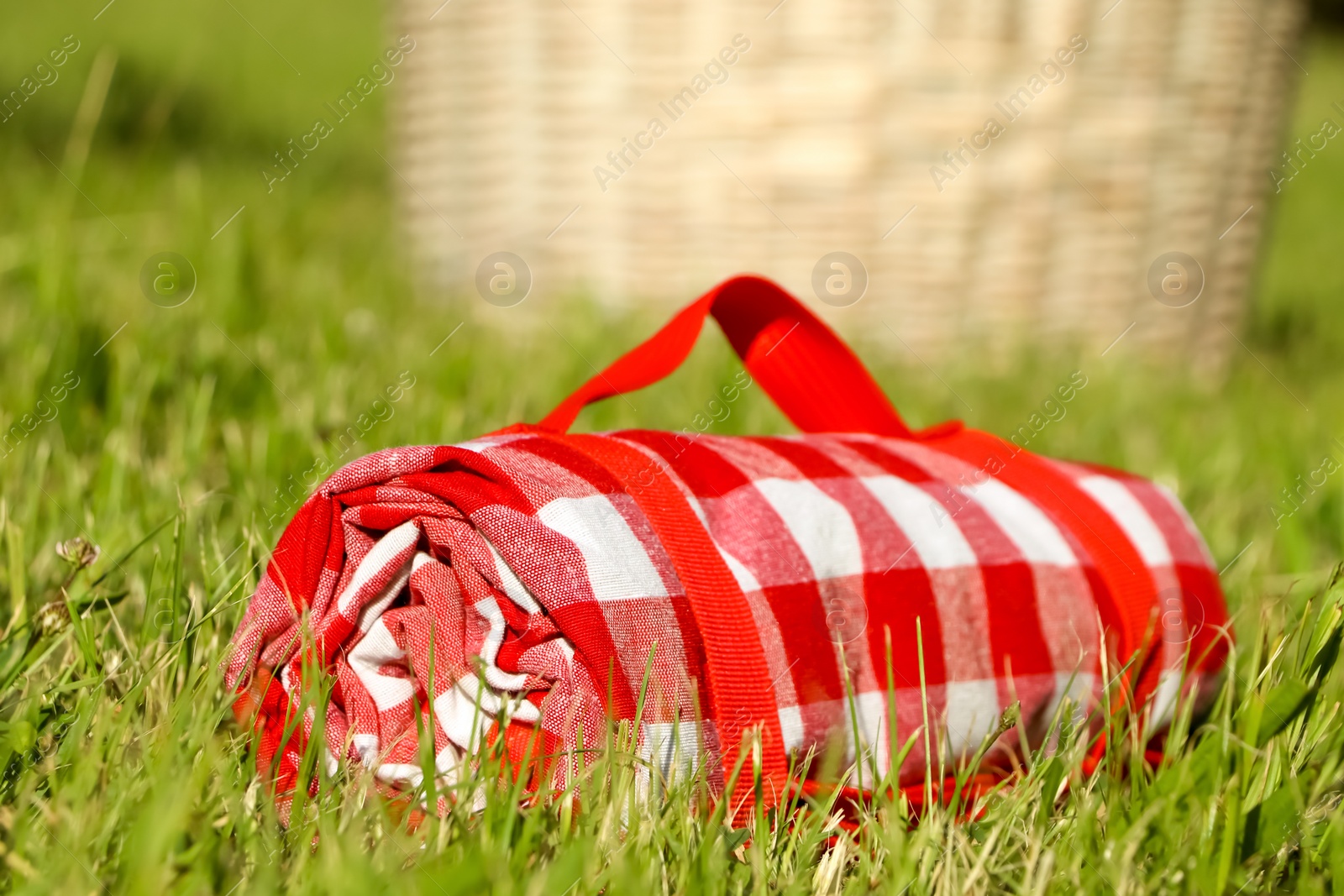 Photo of Rolled checkered picnic tablecloth on green grass, closeup