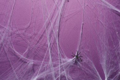 Cobweb and spider on violet background, top view