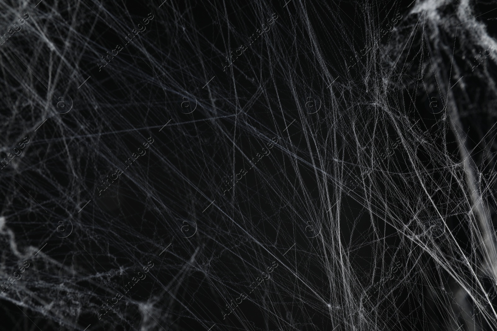 Photo of Creepy white cobweb on black background, closeup