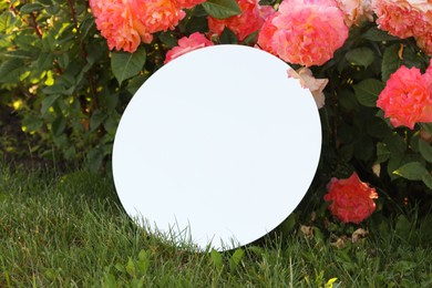 Photo of Round mirror on grass near beautiful flowers