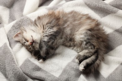 Cute kitten sleeping on soft blanket, above view