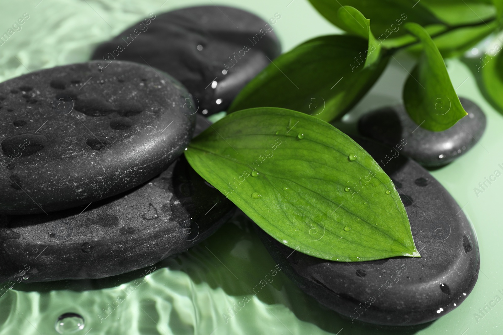 Photo of Spa stones and fresh leaves on light green background, closeup