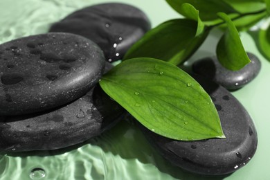 Photo of Spa stones and fresh leaves on light green background, closeup