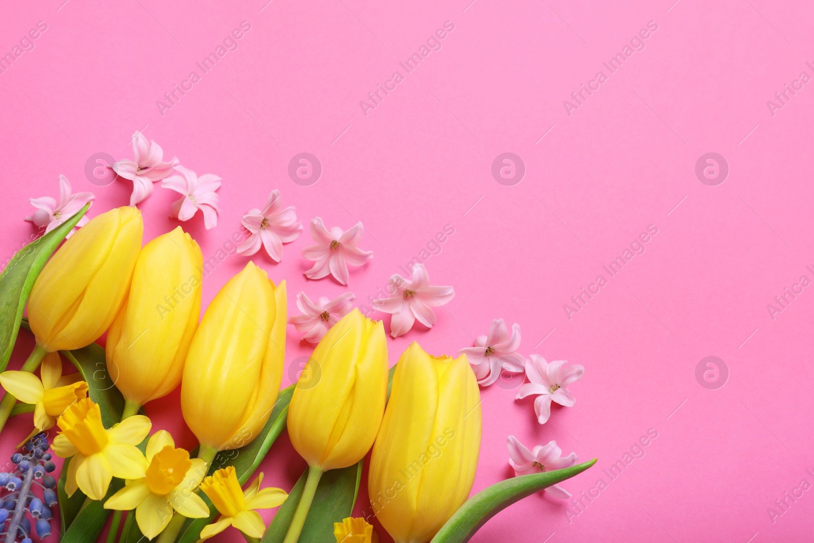 Photo of Beautiful different flowers on pink background, flat lay. Space for text