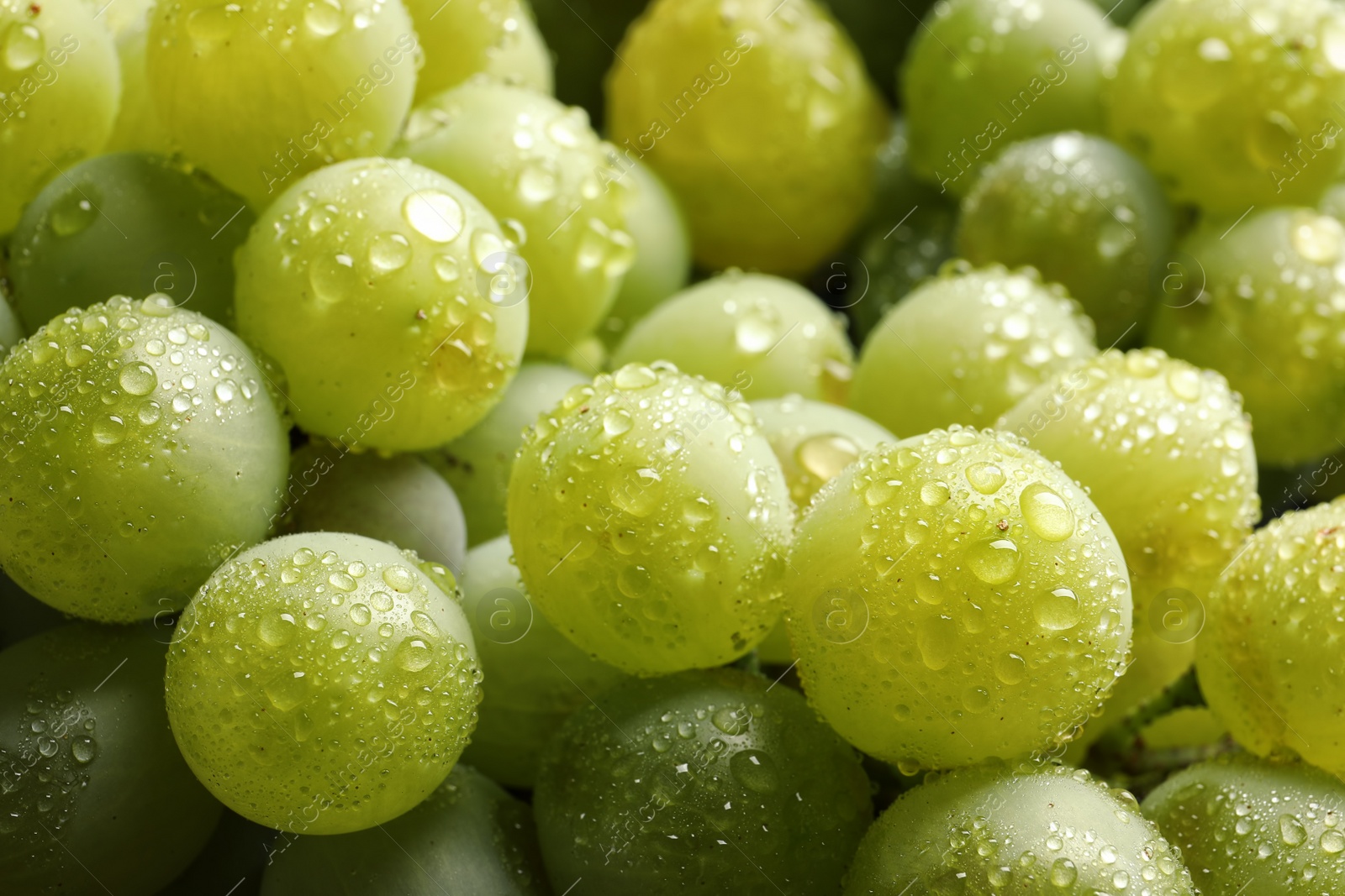 Photo of Bunch of green fresh ripe juicy grapes as background. Closeup view