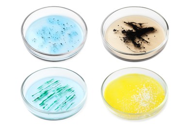 Set of Petri dishes with different culture samples on white background