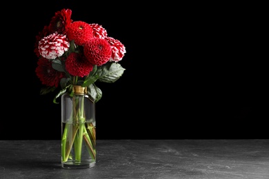 Photo of Beautiful dahlia flowers in vase on table against black background. Space for text