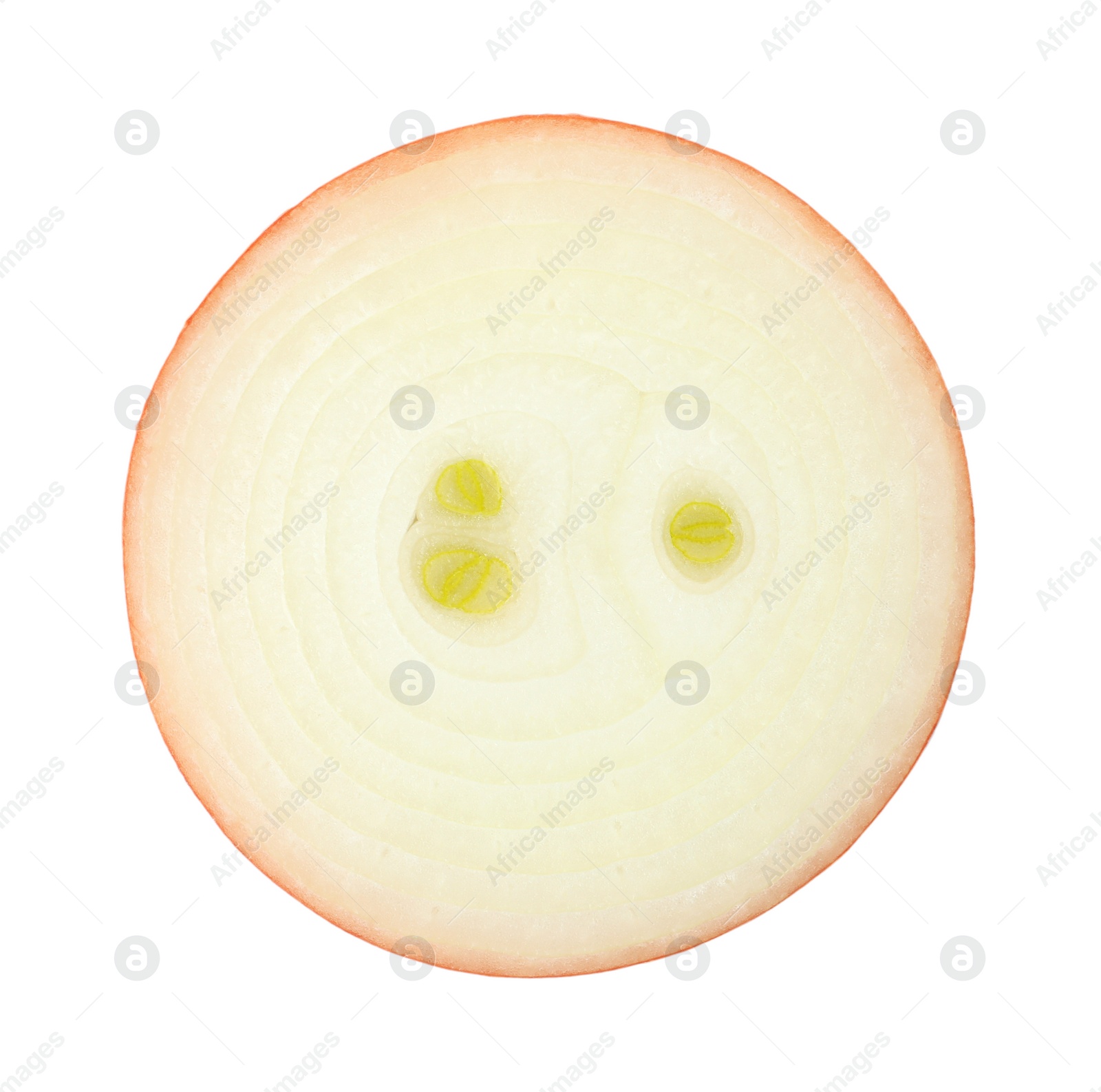 Photo of Slice of raw yellow onion isolated on white