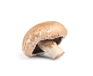 Photo of Fresh wild mushroom on white background. Edible fungi