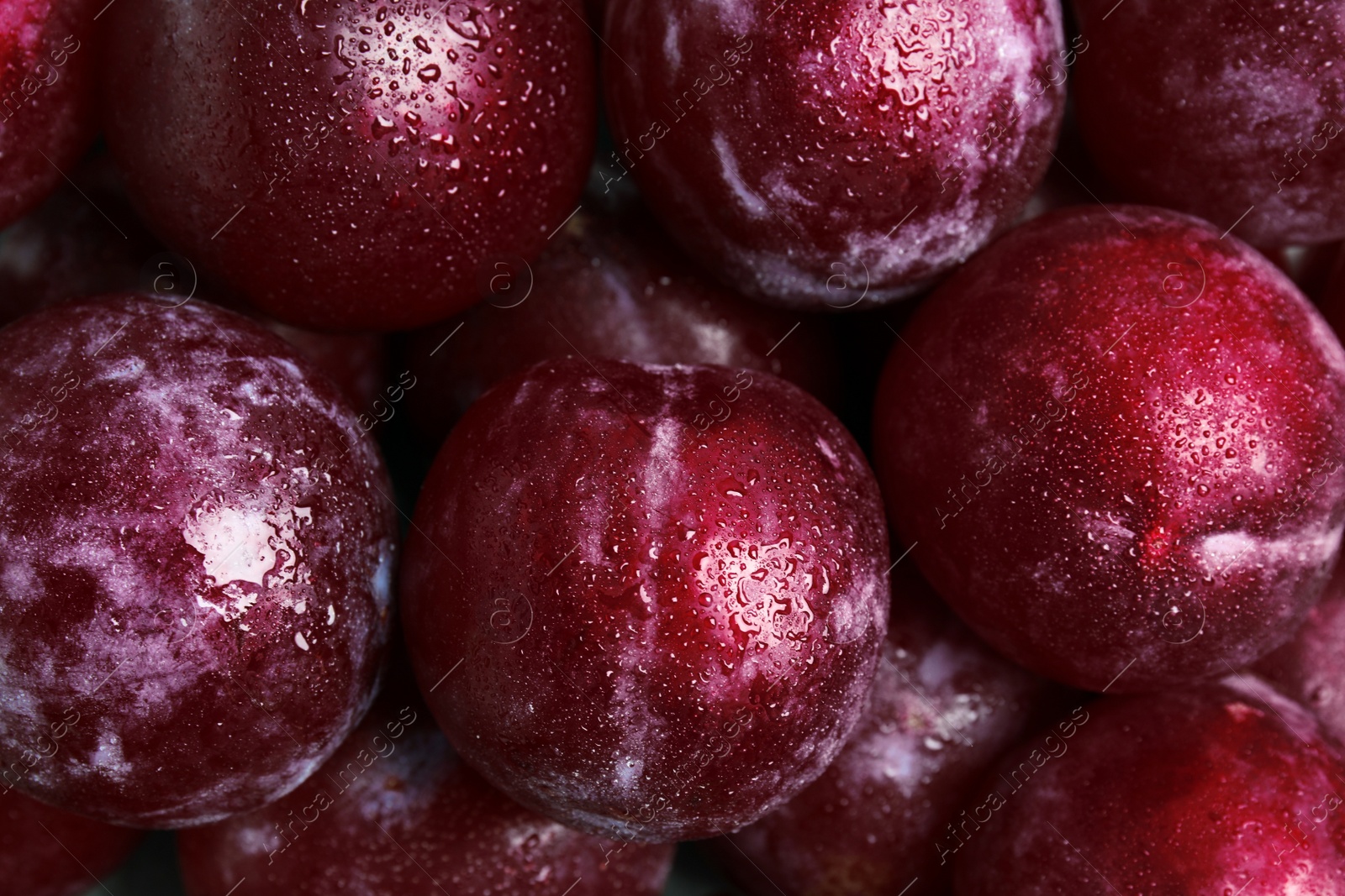 Photo of Many delicious ripe plums as background, closeup