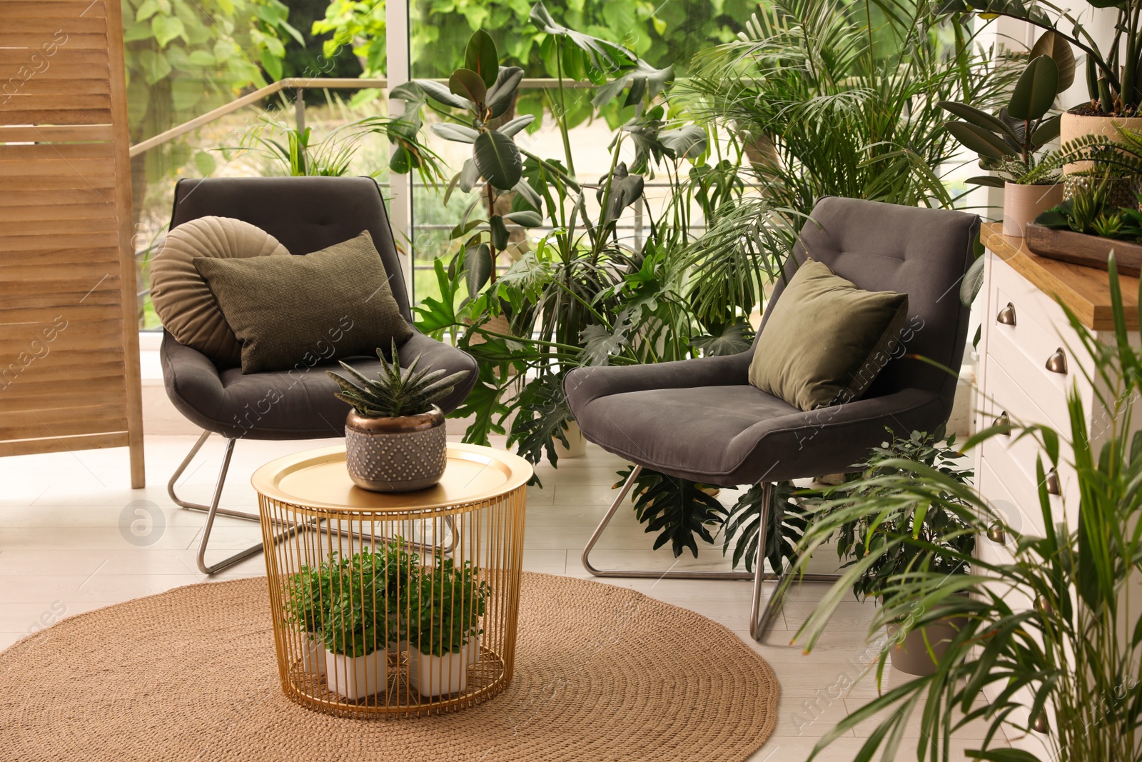 Photo of Lounge area interior with comfortable armchairs and houseplants