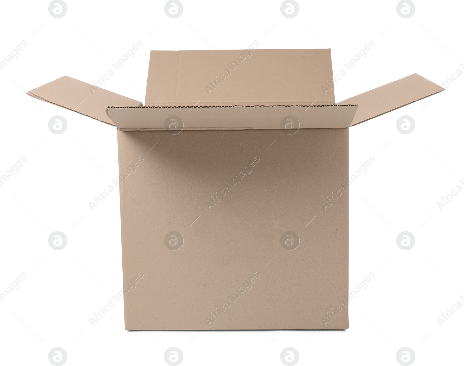 Photo of One open cardboard box isolated on white