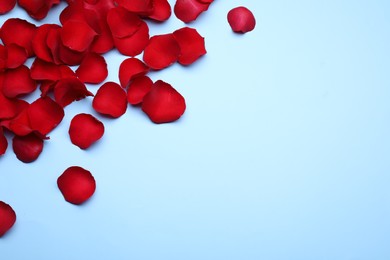 Photo of Beautiful red rose flower petals on light blue background, flat lay. Space for text