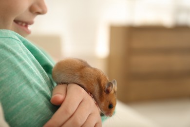 Photo of Little girl holding cute hamster at home, closeup