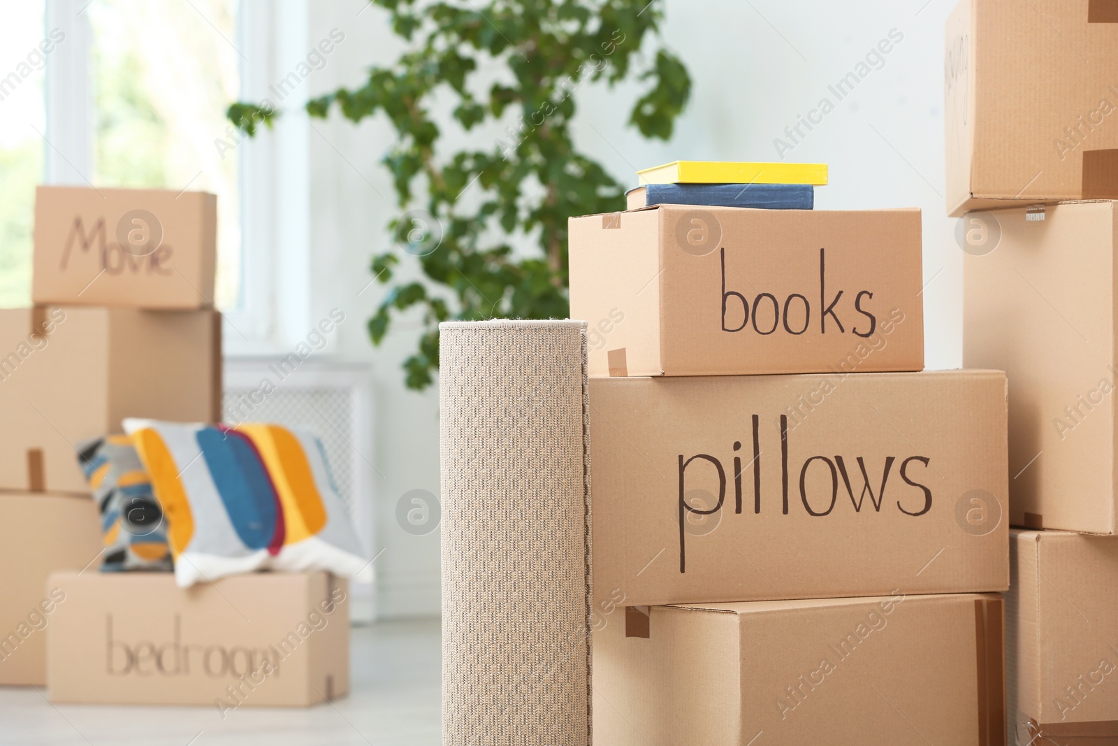 Photo of Cardboard boxes and household stuff indoors. Moving day