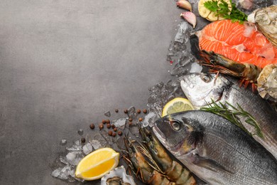 Flat lay composition with fresh raw dorado fish and different seafood on grey table. Space for text