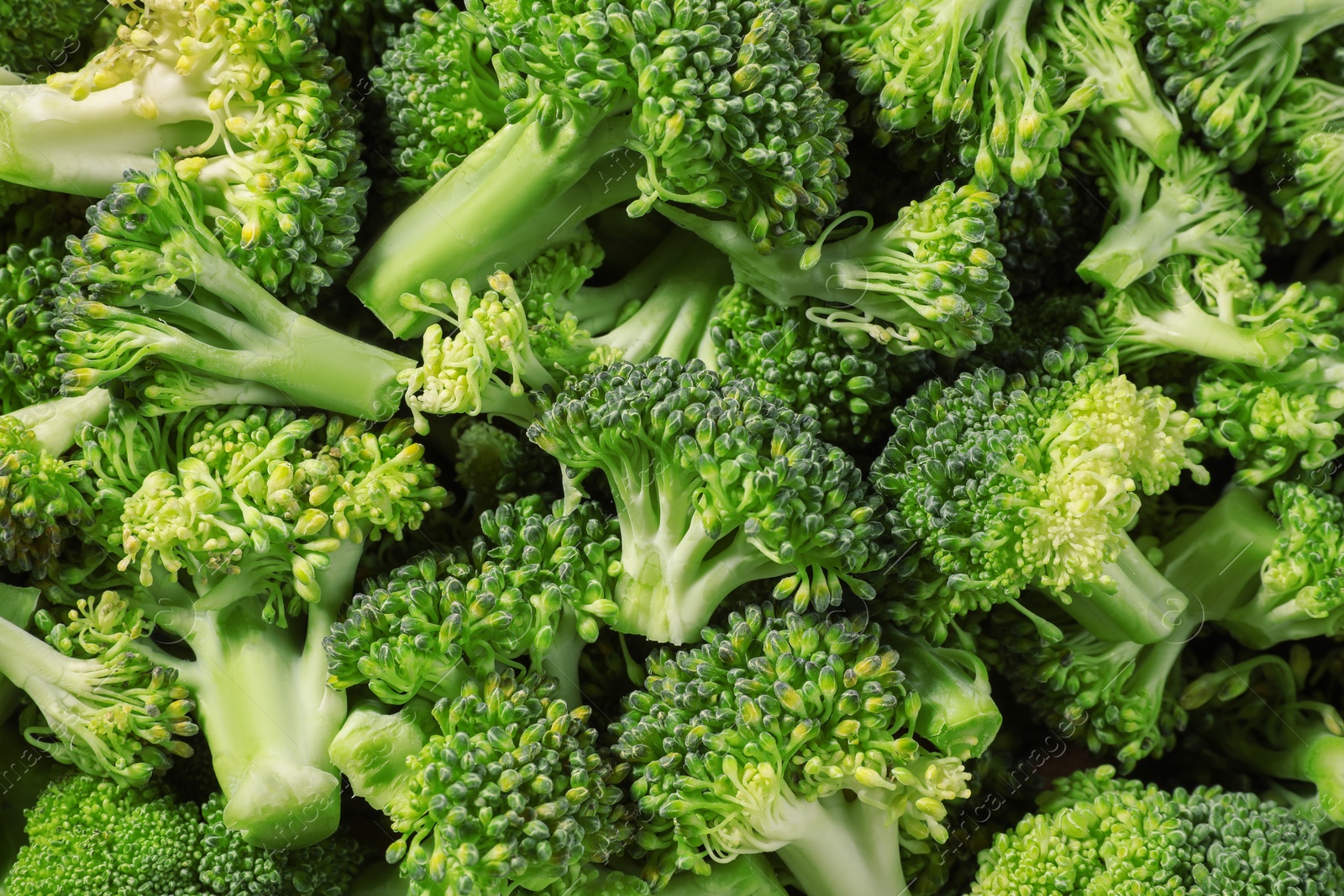 Photo of Fresh raw broccoli as background, top view