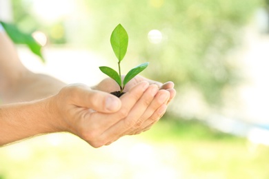 Photo of Man holding soil with green plant in hands on blurred background