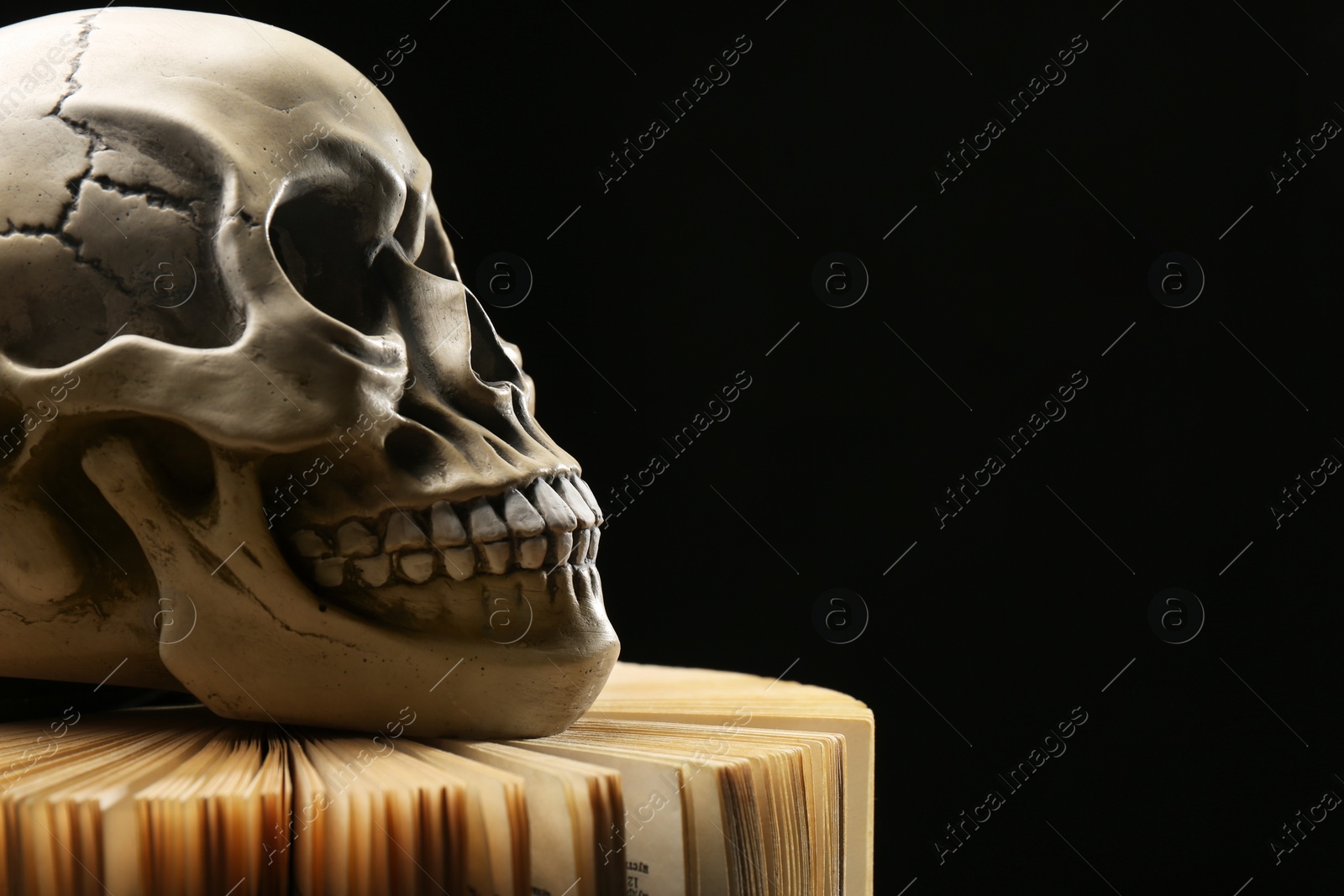 Photo of Human skull and old book on black background, closeup. Space for text
