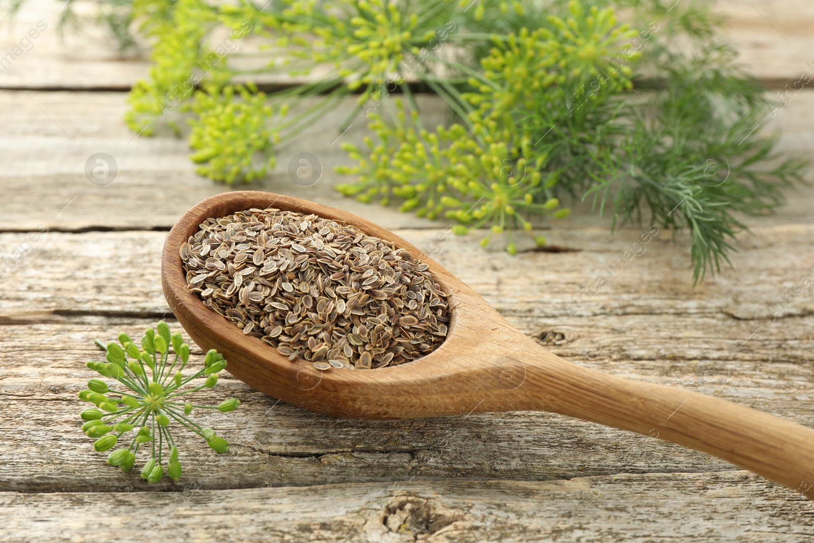 Photo of Spoon with dry seeds and fresh dill on wooden table, closeup