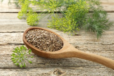 Spoon with dry seeds and fresh dill on wooden table, closeup