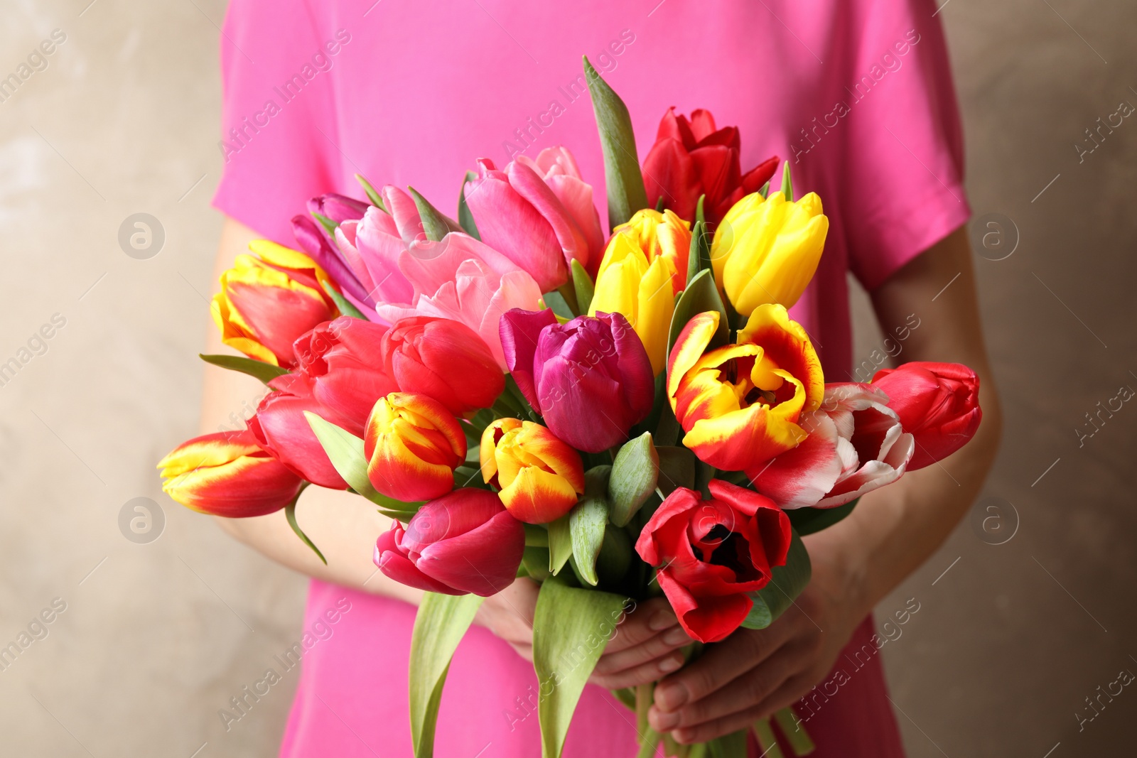 Photo of Woman holding beautiful spring tulips on light background, closeup