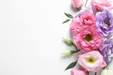 Photo of Flat lay composition with beautiful Eustoma flowers on light background