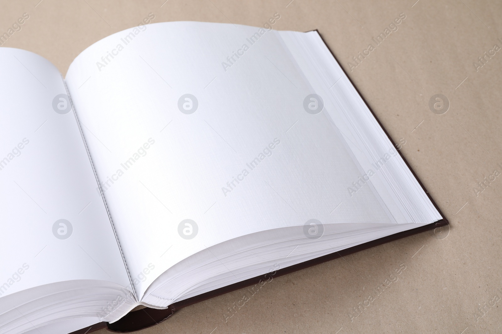 Photo of One open photo album on color background, closeup. Space for text