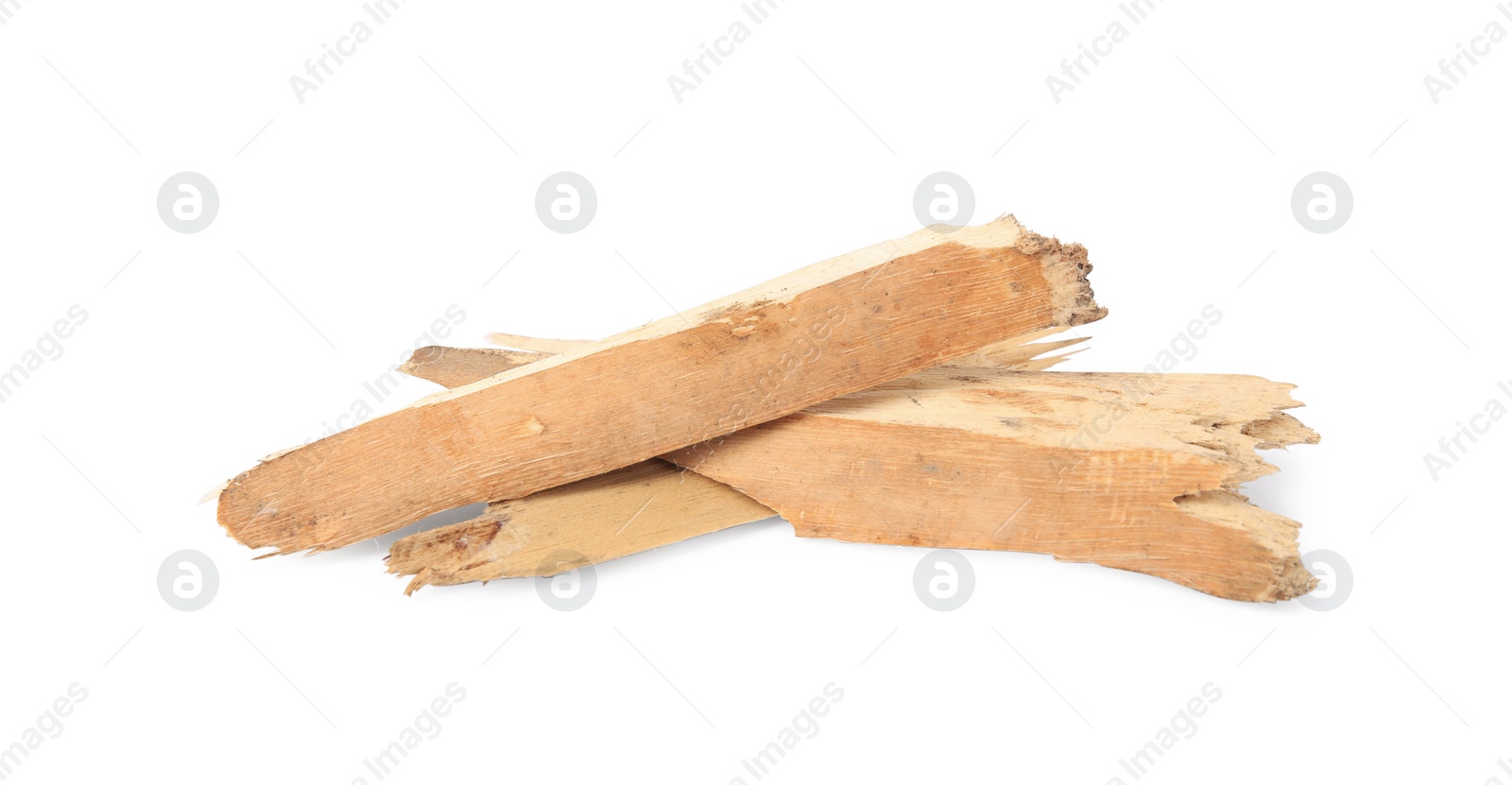 Photo of Pieces of tree bark isolated on white