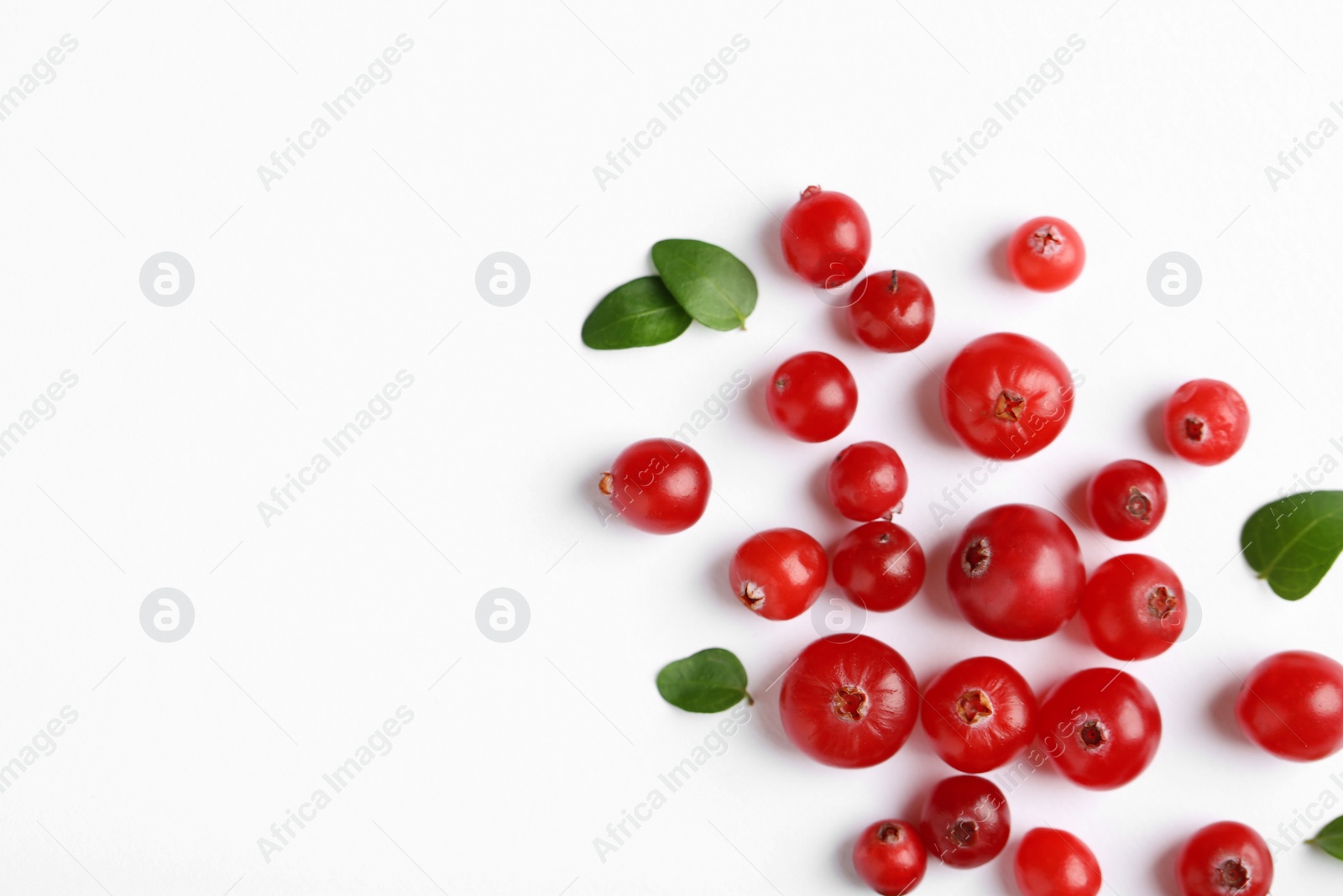 Photo of Fresh ripe cranberries and green leaves on white background, flat lay. Space for text