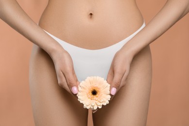 Photo of Woman in white panties with gerbera flower on peach background, closeup
