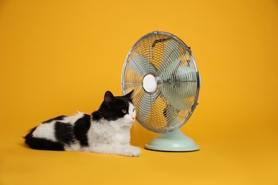 Cute fluffy cat enjoying air flow from fan on yellow background. Summer heat