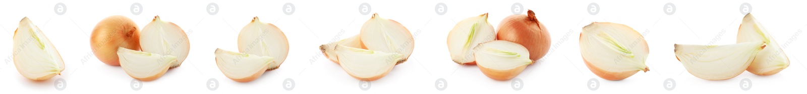 Image of Set of yellow cut and whole onion on white background. Banner design