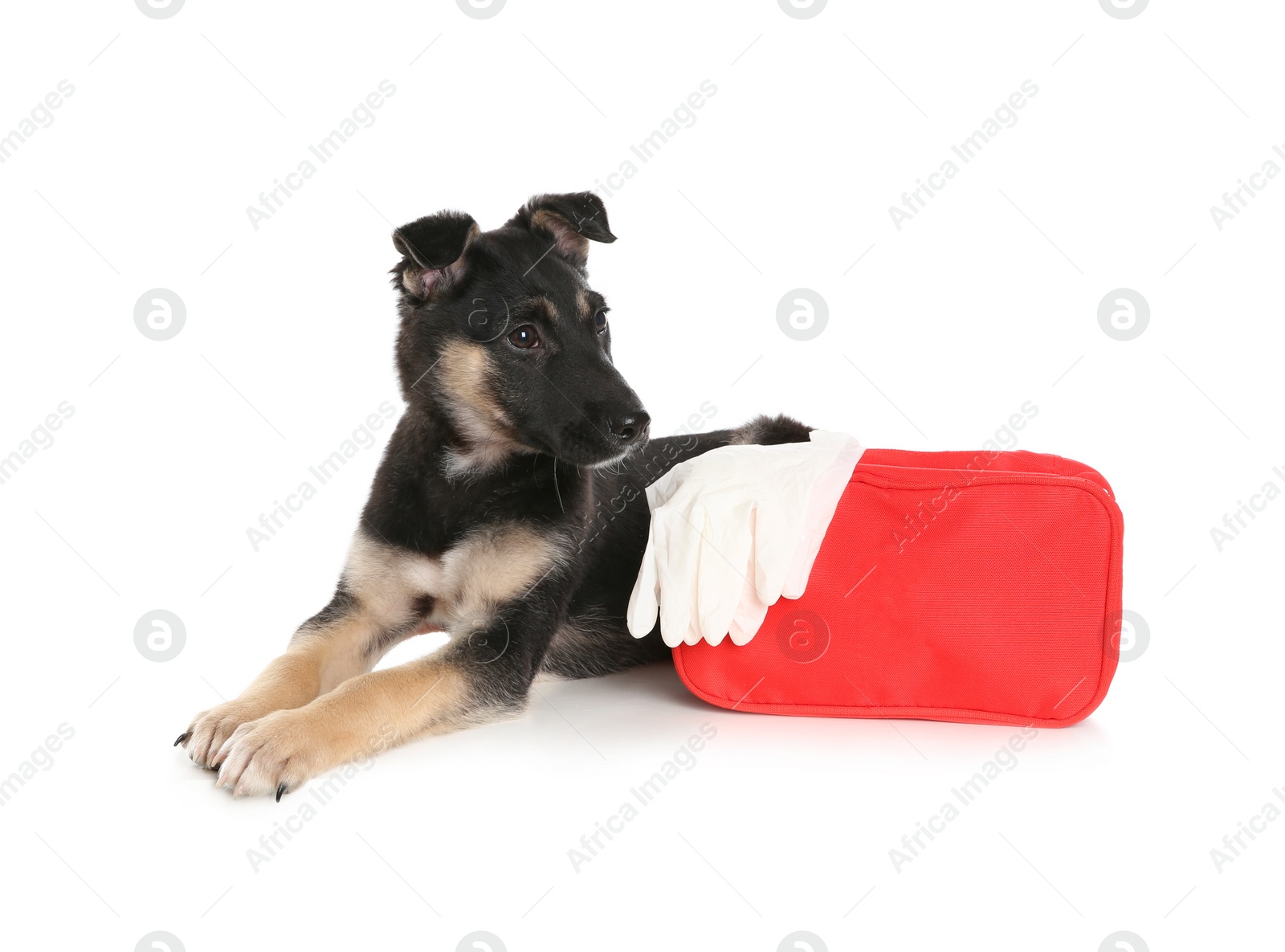 Photo of Cute puppy with first aid kit on white background