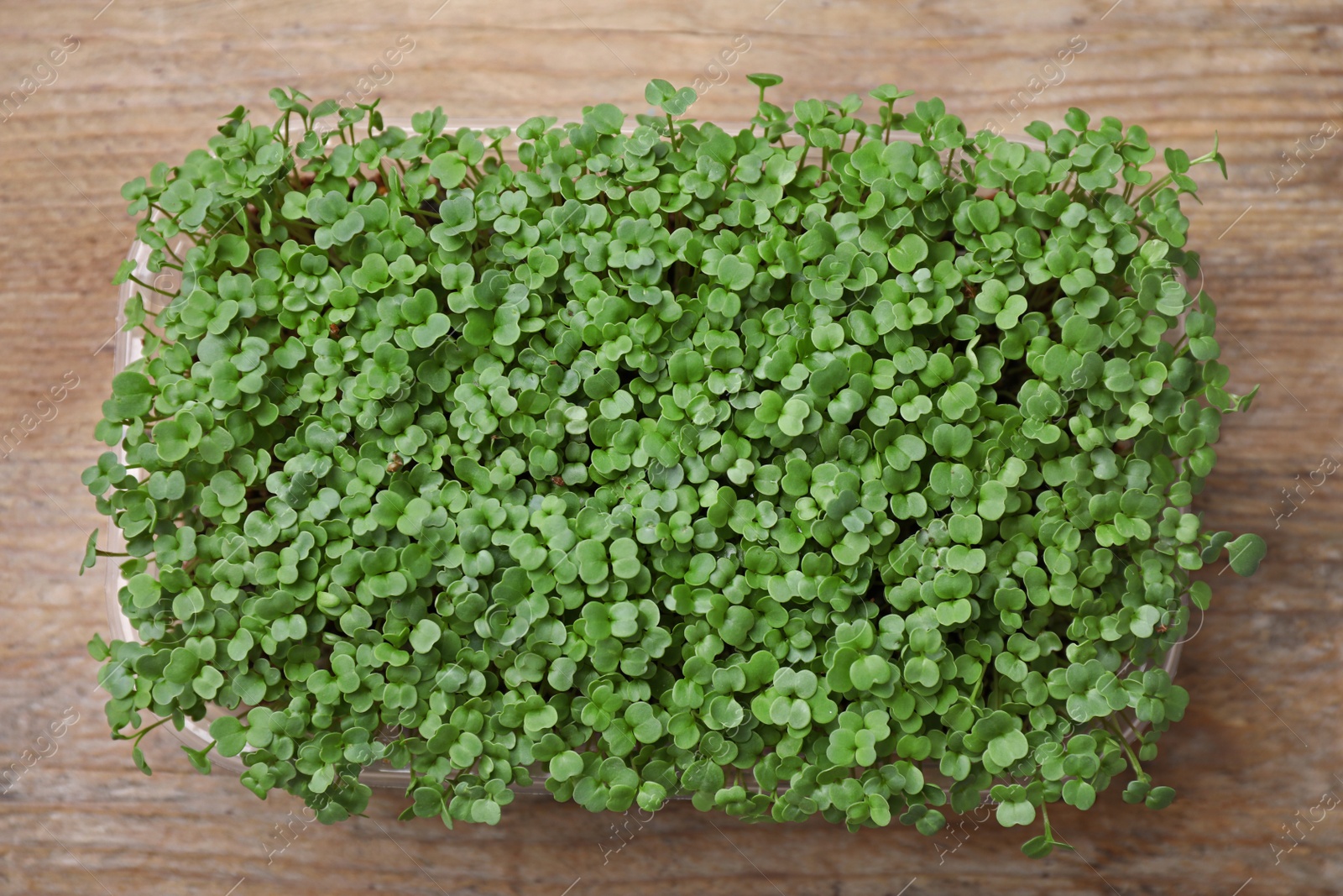 Photo of Fresh organic microgreen on wooden table, top view