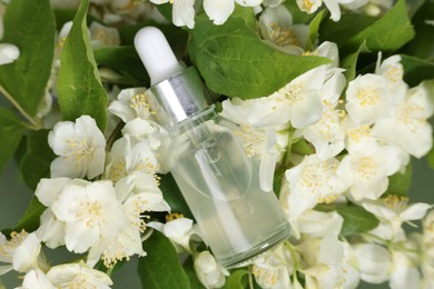 Photo of Essential oil in bottle among beautiful jasmine flowers on pale green background, closeup