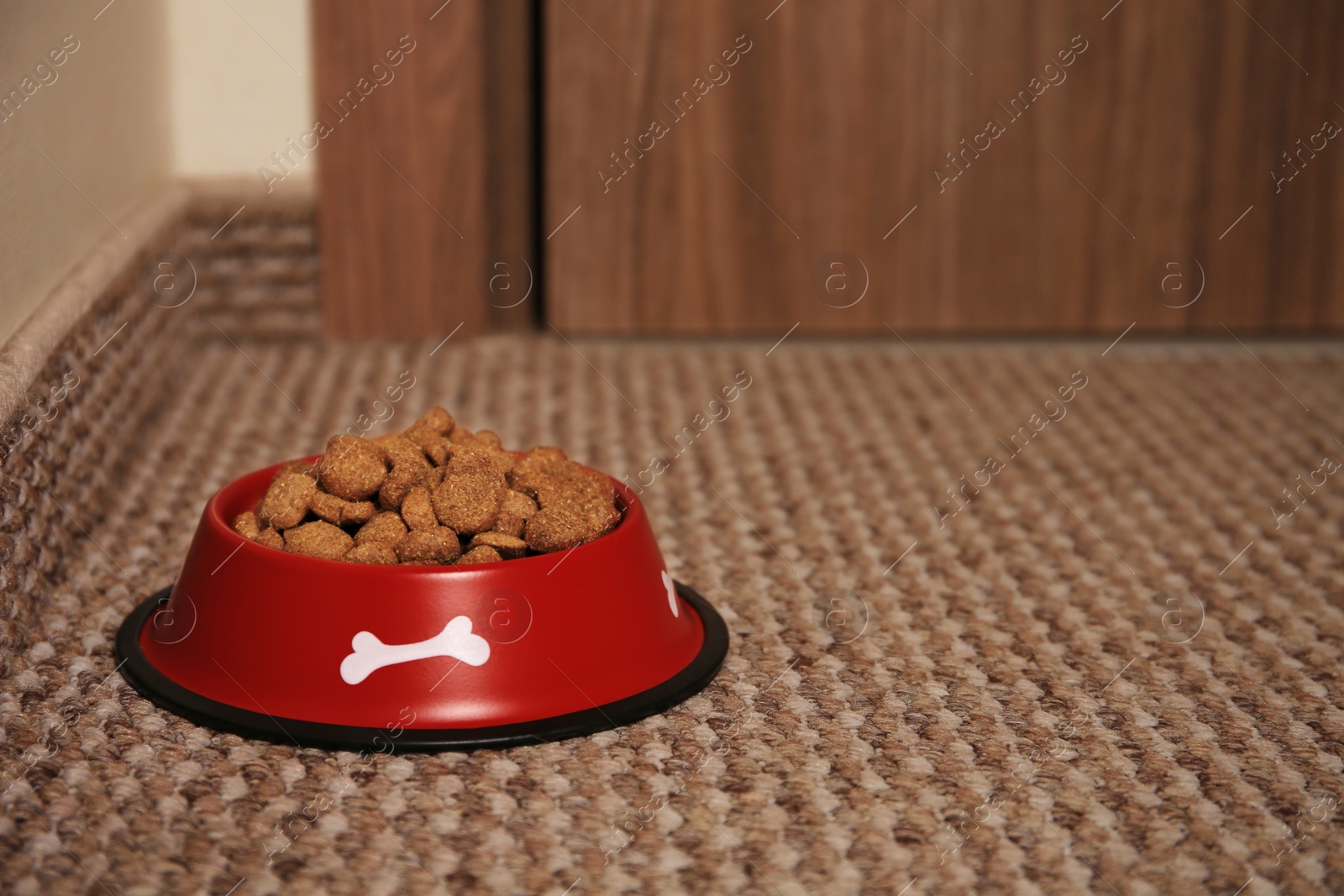 Photo of Dry dog food in feeding bowl on soft carpet indoors. Space for text