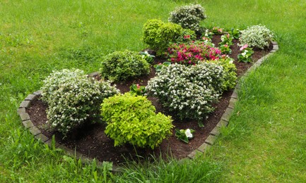 Photo of Beautiful flowerbed with different plants outdoors. Gardening and landscaping