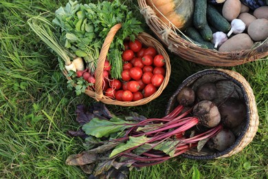 Different fresh ripe vegetables on green grass, flat lay