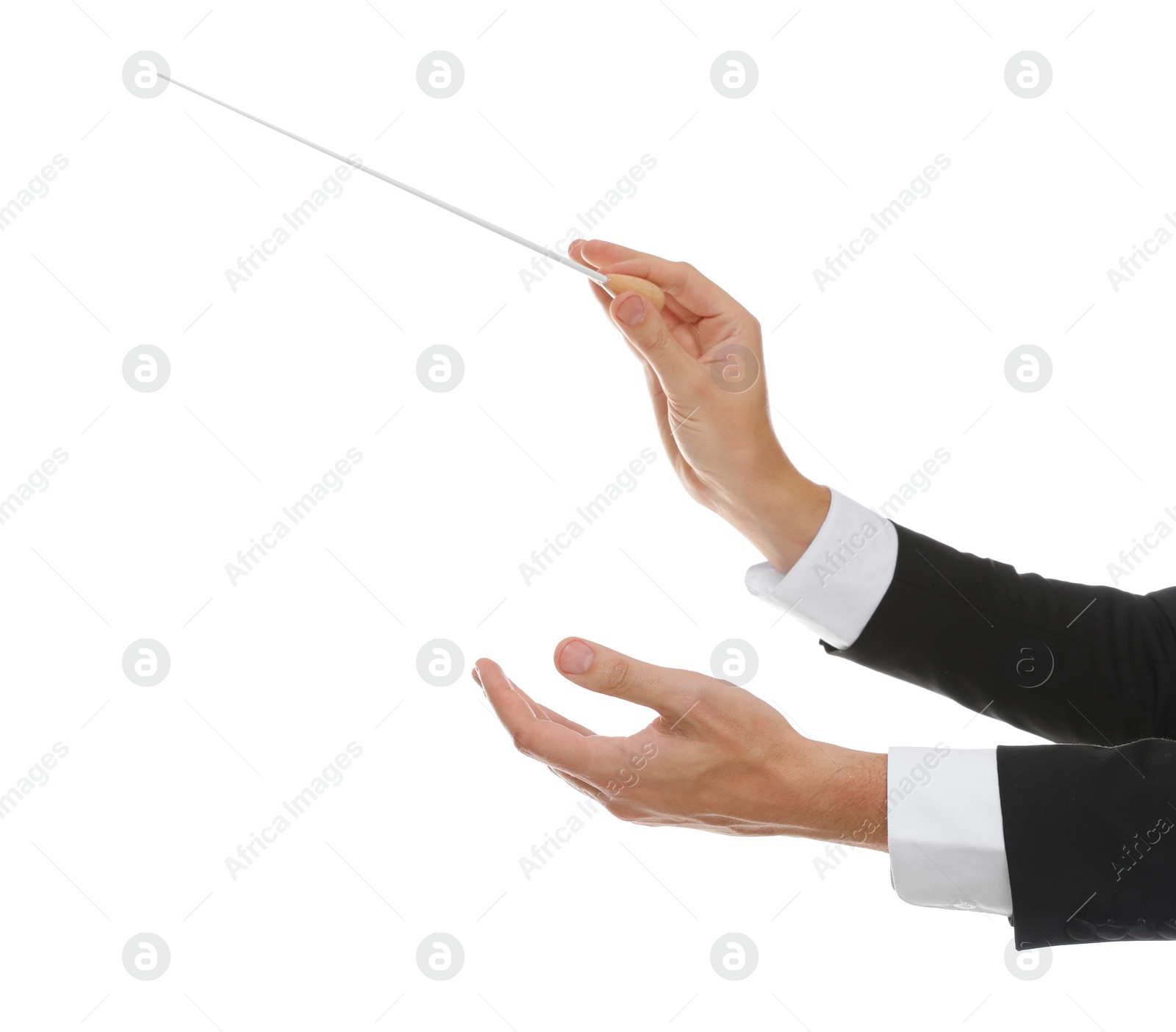 Photo of Professional conductor with baton on white background, closeup