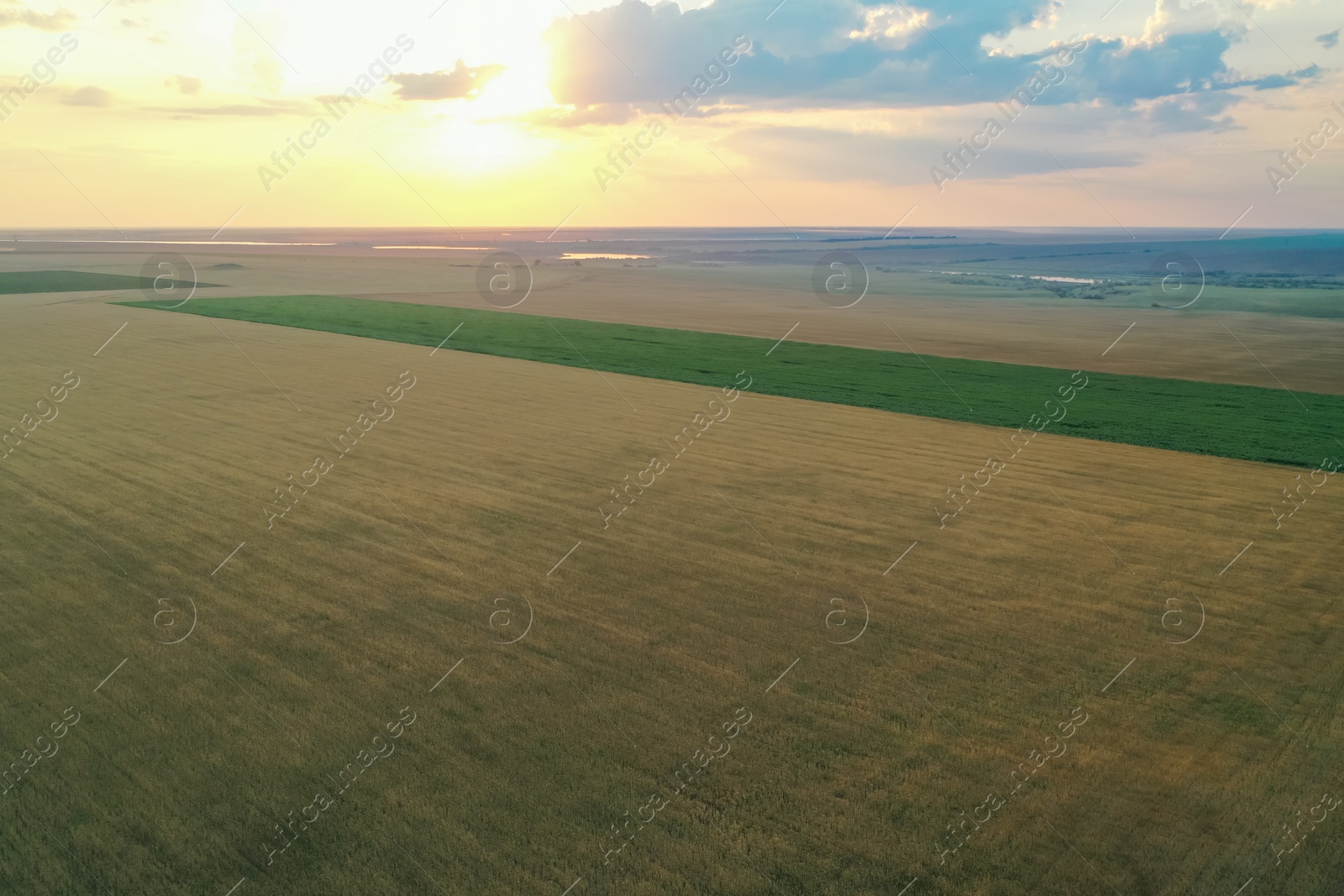 Photo of Aerial view of yellow mowed field outdoors. Agricultural industry