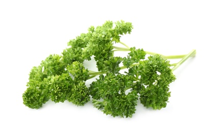 Fresh green curly parsley on white background