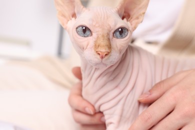 Photo of Woman with cute Sphynx cat at home, closeup. Lovely pet