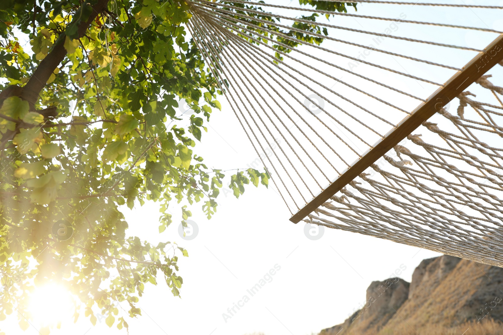 Photo of Empty hammock hanging outdoors. Time to relax